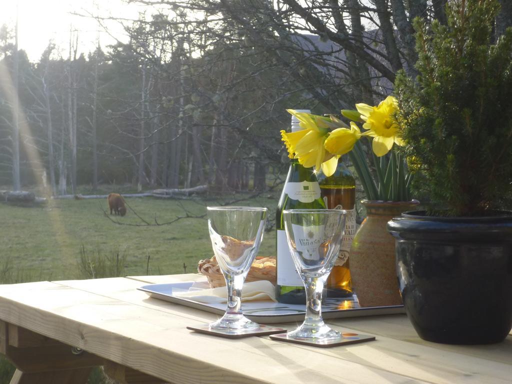 Camusmore House Aviemore Luaran gambar